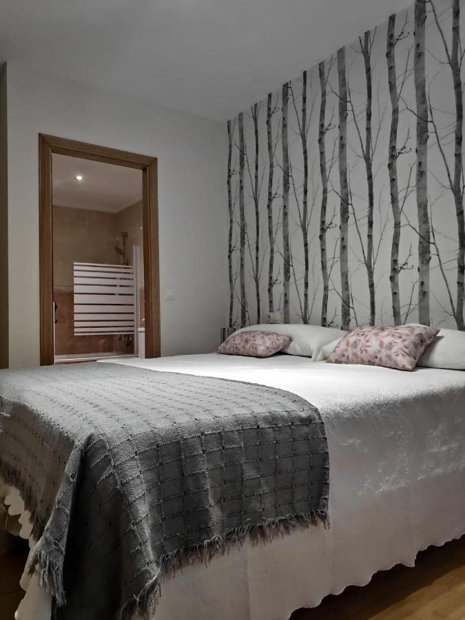 Centrico Con Wifi Y Parking De Coche Tamano Medio Apartment Cangas de Onis